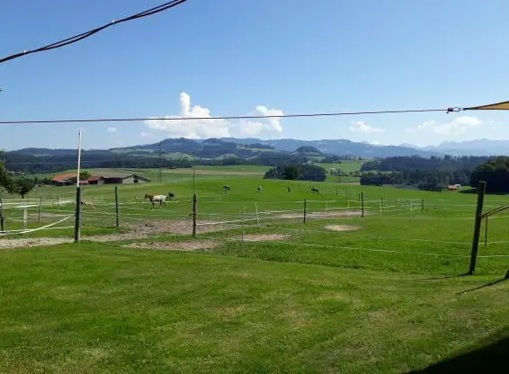 Aktivstall für Gruppen und Pferdeboxen in Alterswil FR