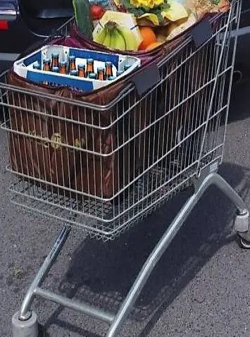 "4 in 1" XXL Kühl-/Einkaufwagen-/Familiepicknick-/Biertasche