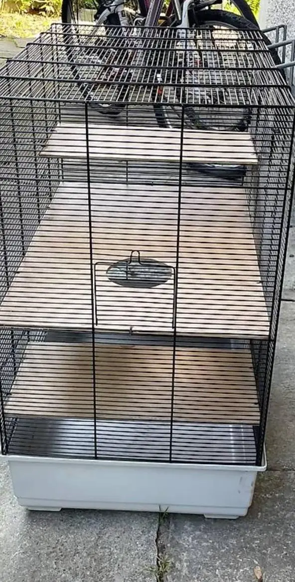 Nagerkäfig für 3-4 Farbmäuse GRATIS abzugeben