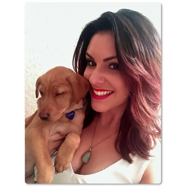 Liebe kann süss sein