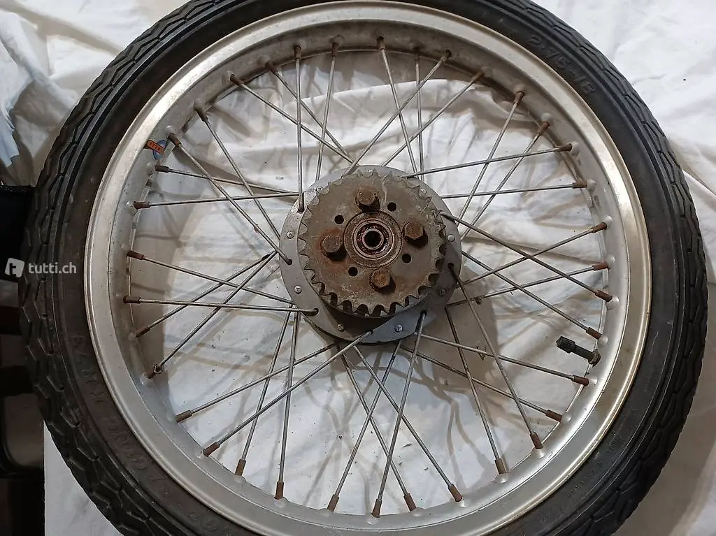 Ruota del 19con 36 raggi cerchio Radaelli alluminnio