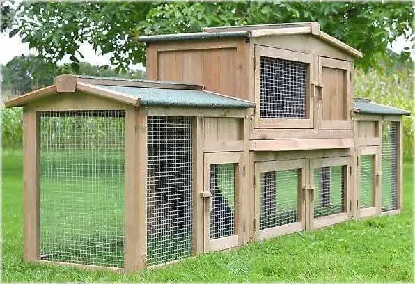 Hasenstall Dr. Hase - 2.48m mit