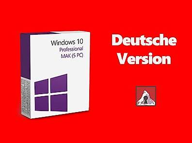 Windows 10 Professional (5 PC)