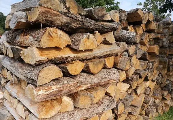 Bois de chauffage de qualité