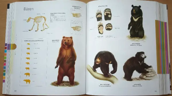 Bildlexikon, Lexikon, Nachschlagewerk