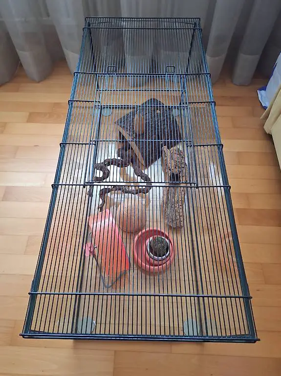 Hamster Käffig mit Equipment