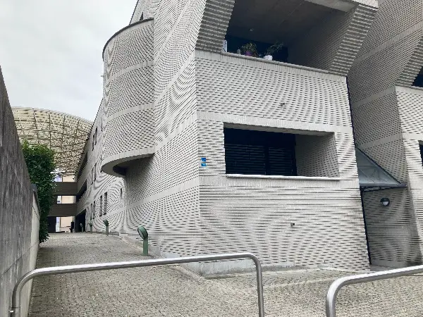 Cerco subentrante per 3.5 Locali a Monte Carasso (Bellinzona)