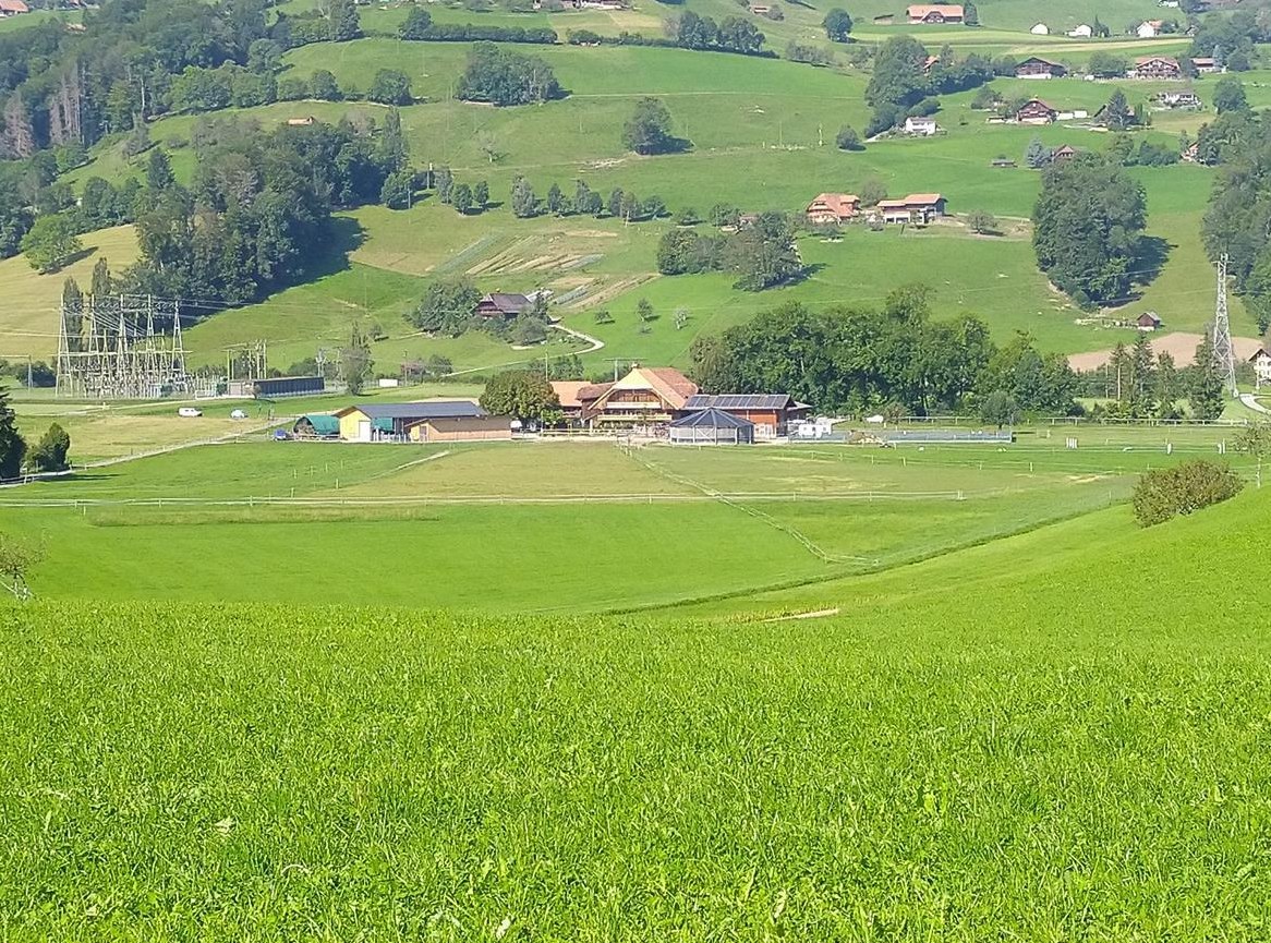 Suchen Mitarbeiter/in Landwirtschaft, Kanton Bern