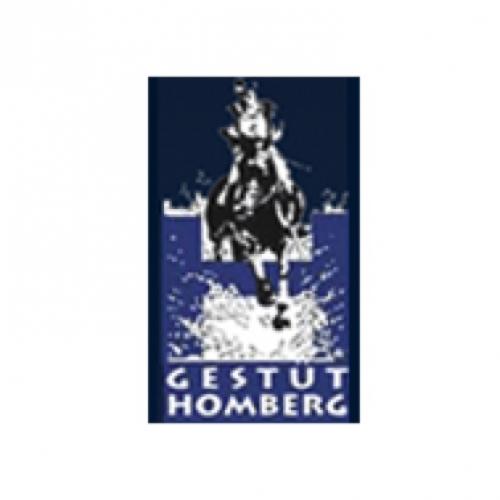 Pferdestallung Gestüt Homberg