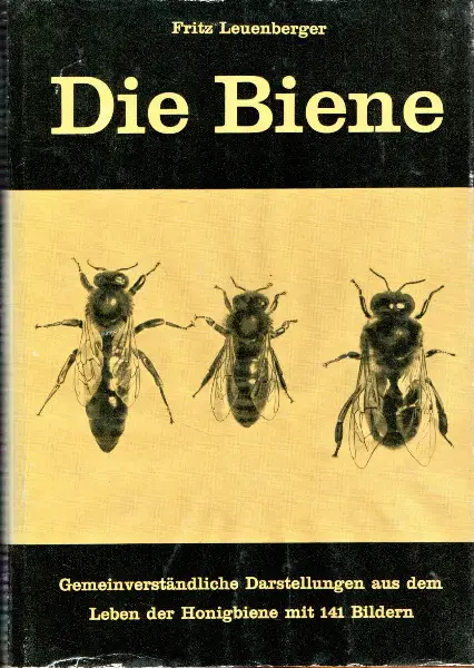  Leuenberger, Die Biene