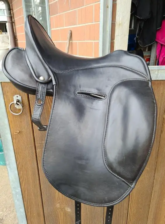 Signum Omega Lotus Sattel Sondermodell zu verkaufen