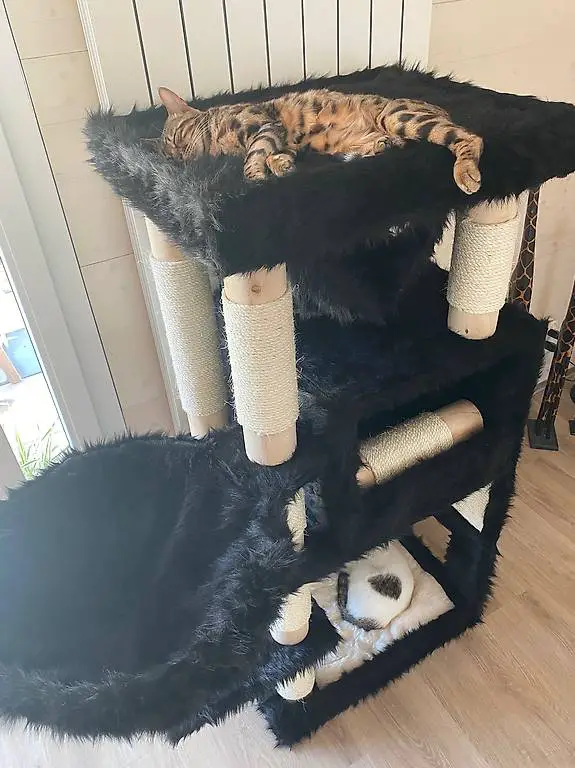 Naturholz Katzenbaum Kratzbaum massiv & top modern 137 cm