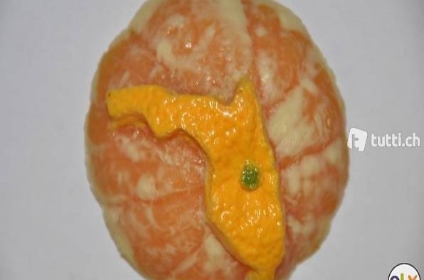 Magnet Pinnwand Kühlschrank Florida Orange Burrito Essigurke