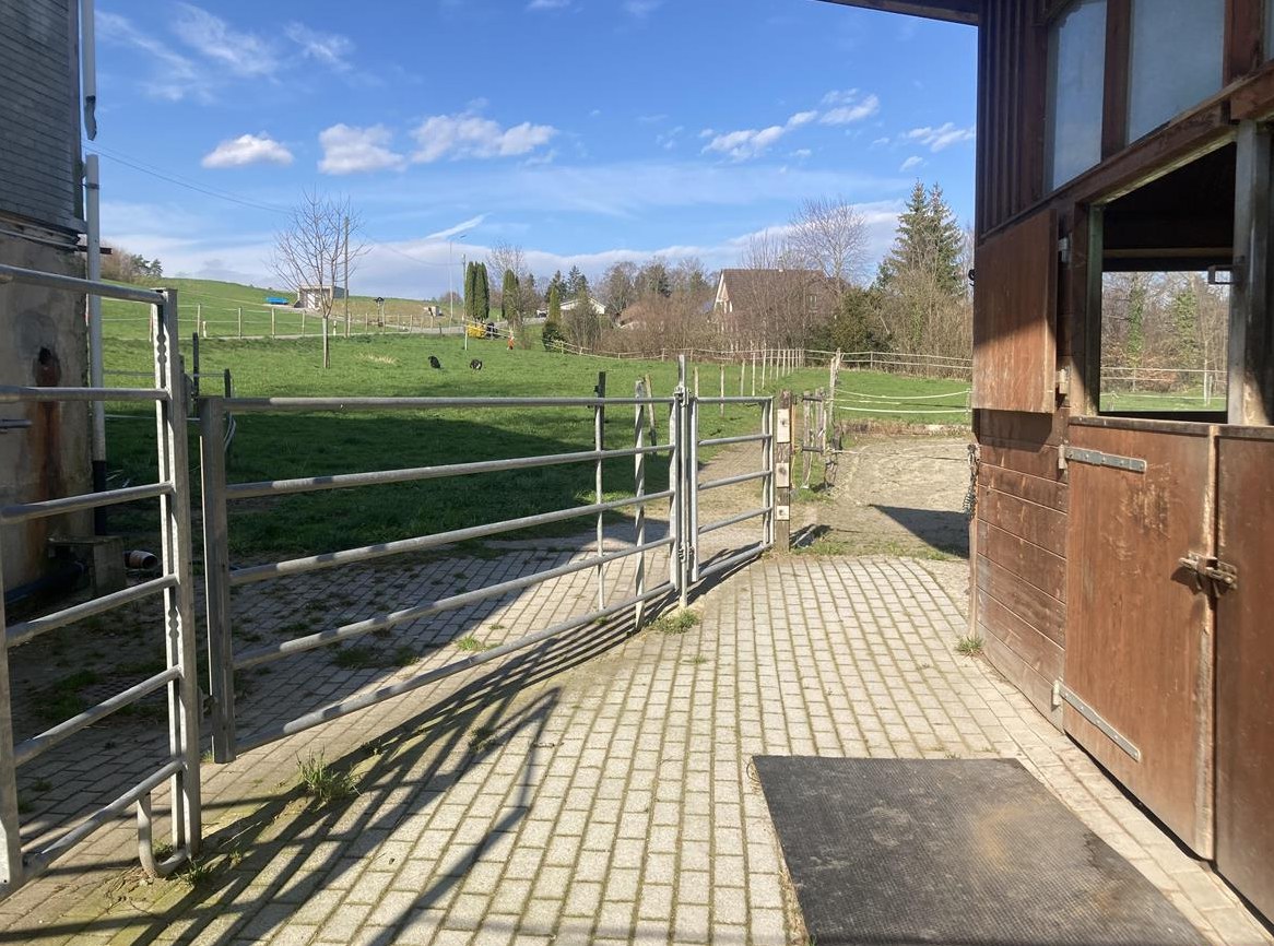 Pferdestall und Weideland für Selbstversorger