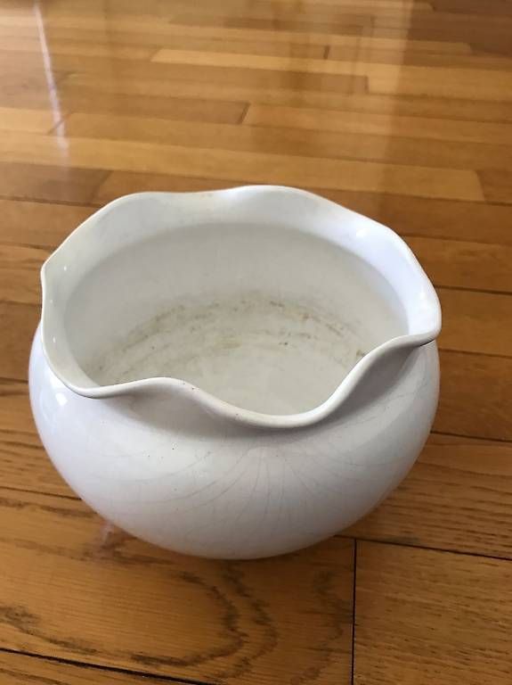 Blumentopf /Sprossenanzuchtset