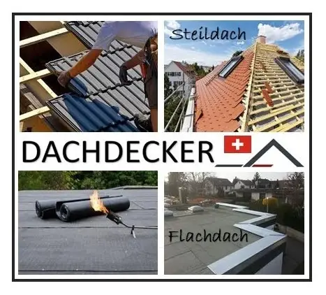 Dachdecker (Steil/Flach)100% (CH-Kt.Deutsch-Schweiz) ab sofort