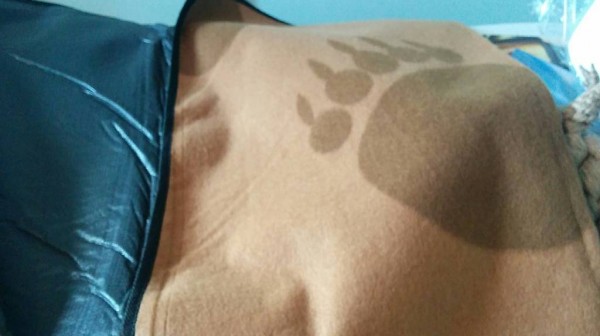 Picknickdecke aus Bärenpark in Schweden