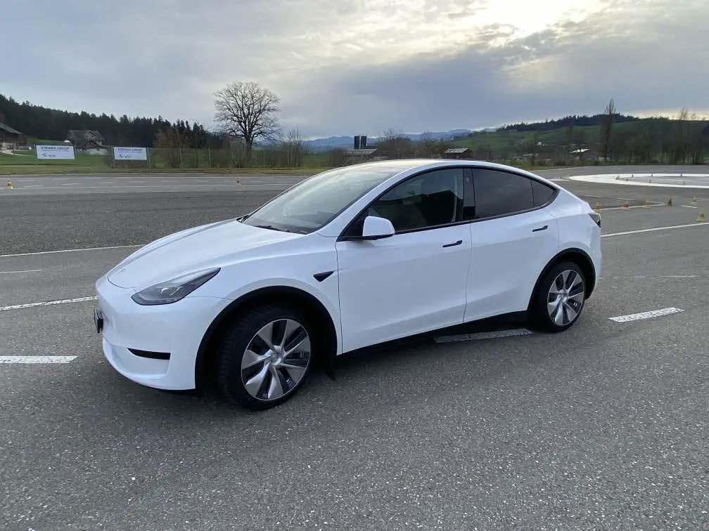 TESLA Model Y Basis