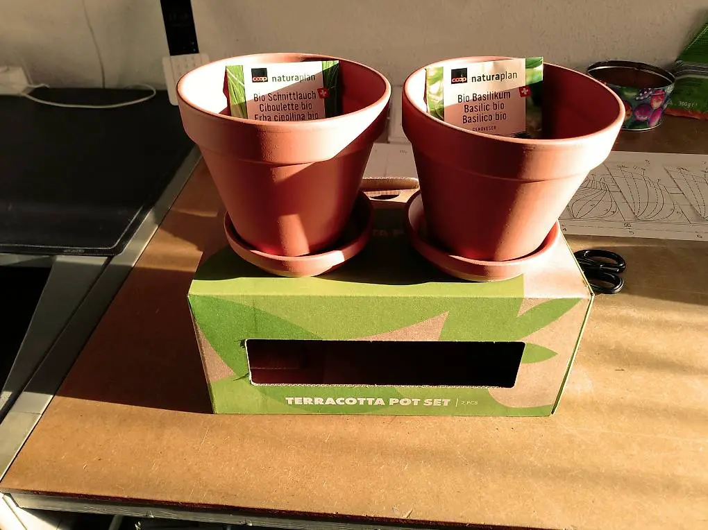 2 Blumentöpfe neu mit Samen Basilikum u. Schnittlauch