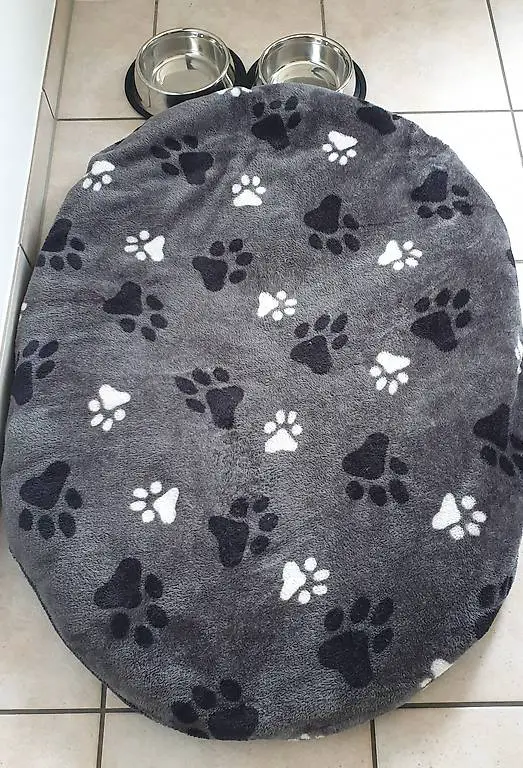 Hundedecke und Fressnapf