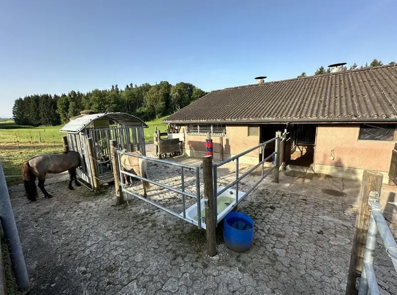Pferdestall Pfruendweid Effretikon bietet Platz in kleinem Aktivstall