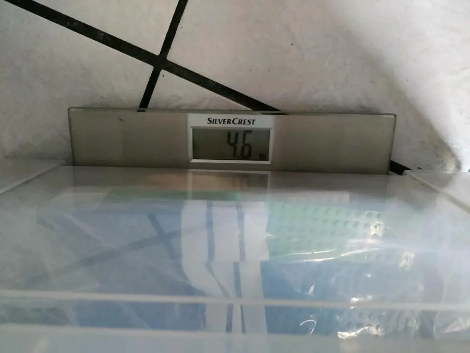 Lego Steine Platten Pflanzen Sammlung Kiloware Konvolut 4,5 kg