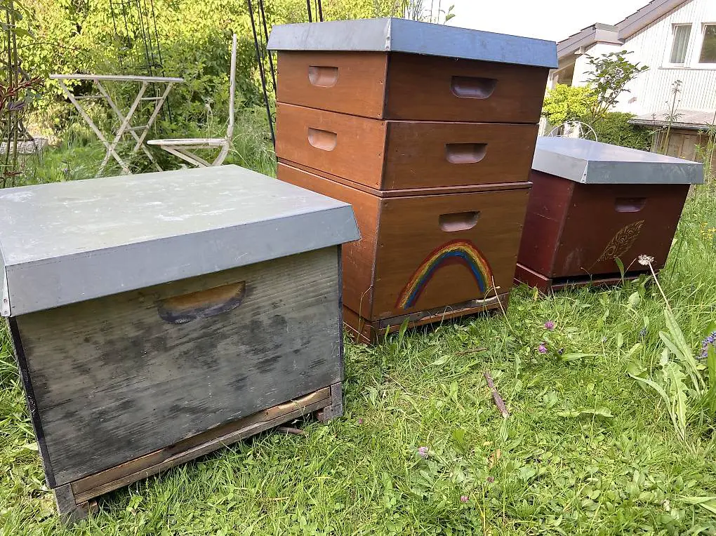 Bienen Beute us Mod.zum Verkaufen