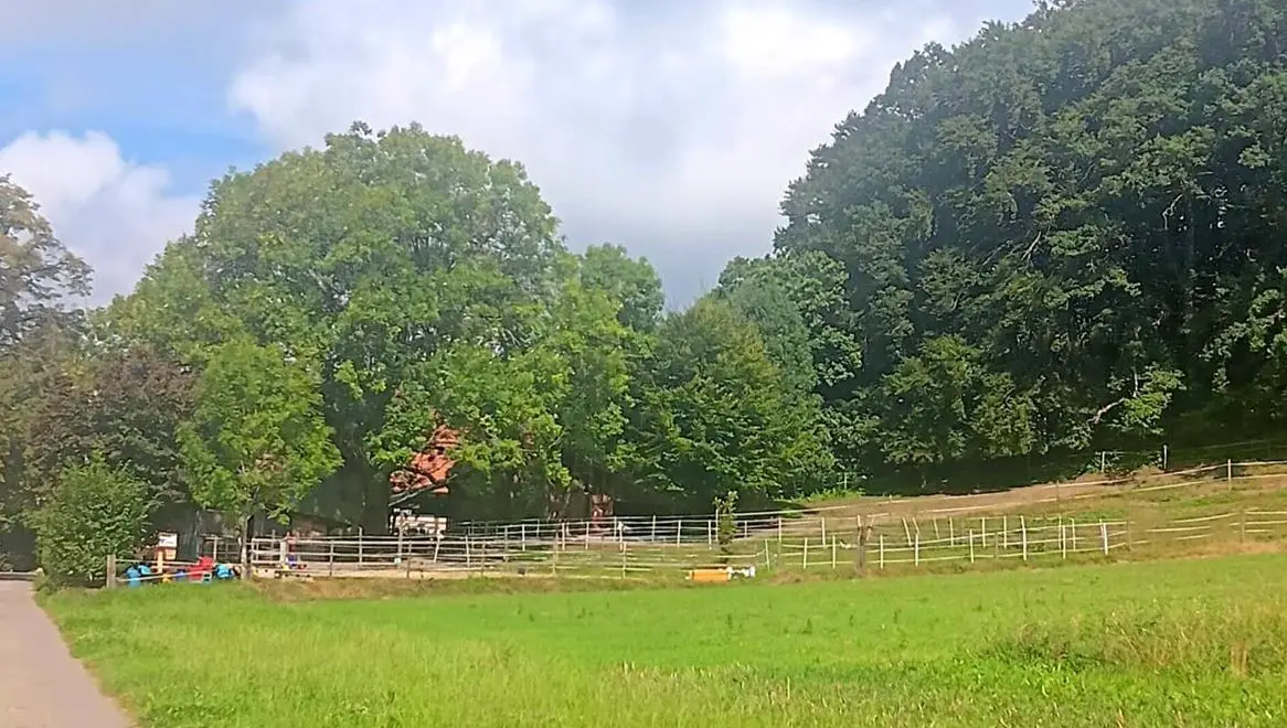 Offenstallplatz für Kleinpferd zu vermieten, Oberembrach ZH