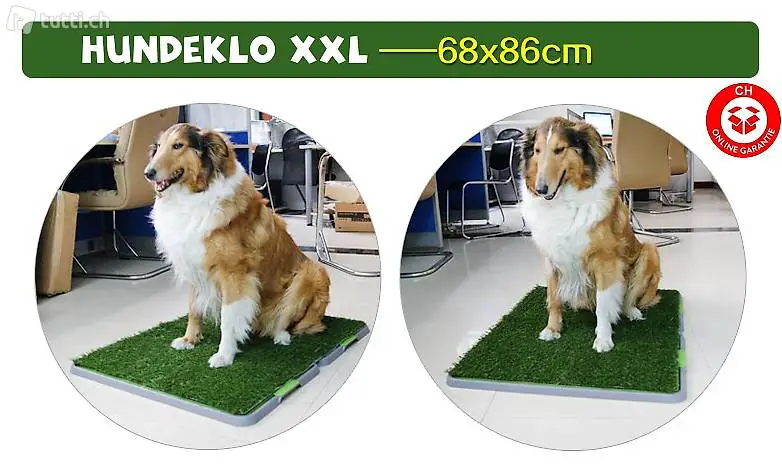 Hunde Hunde Klo WC XXL Grösse Hundeklo Welpe Toilette Neu
