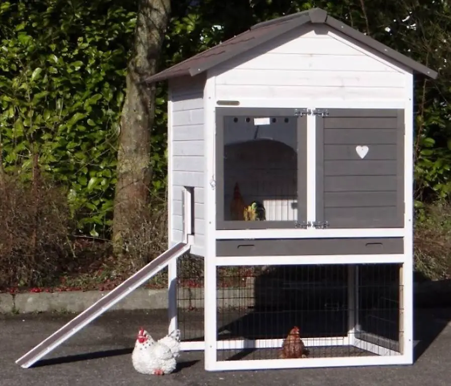 Pollaio 3-5 polli Prestige Medium