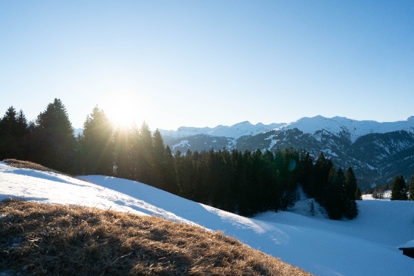 Naturfotografen Paar sucht Ferienwohnung / Häuschen zur Dauermiete