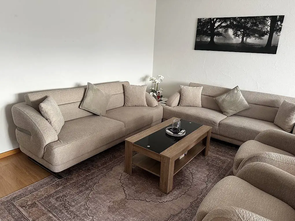 Wohnzimmer-set. Sofà, Sessel, Tisch und Teppich