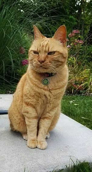 Katzensitter Region U"Siggenthal, Turgi, Brugg, bis Bad-Zurzach, Koblenz