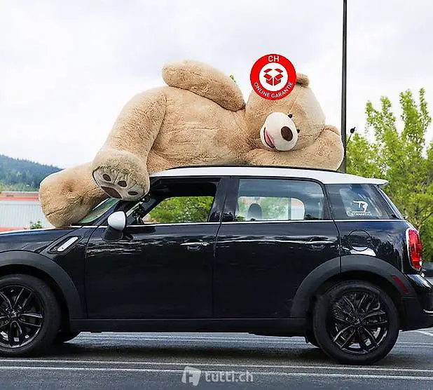 Mega Grosser Plüschbär Teddy Plüsch Bär 260cm Gross Geschenk