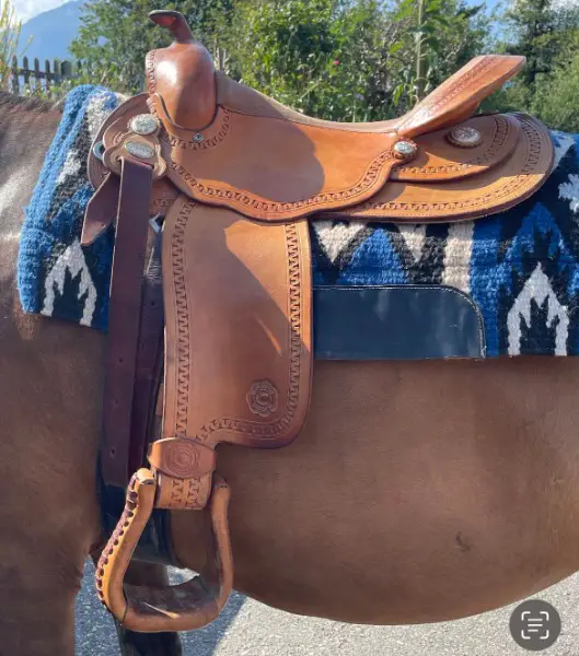 Westernsattel Snake Dance