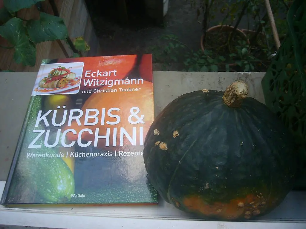 Rezeptbuch Kürbis und Zucchini