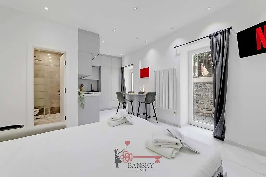 splendido monolocale arredato, affitto mensile