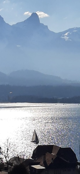 Eine Wohnung zum Geniessen