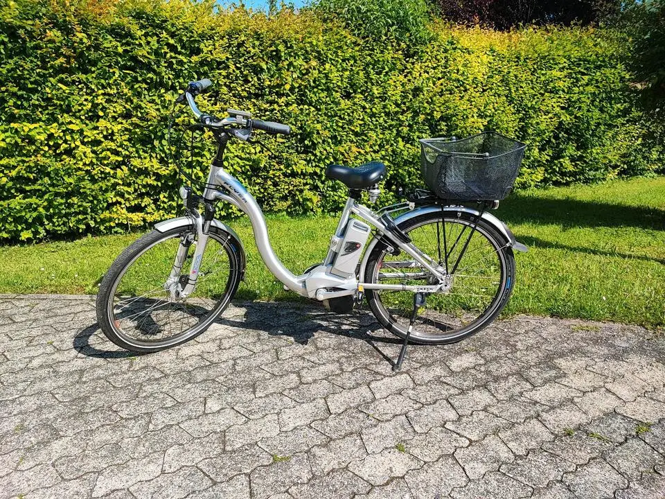 Elektro Fahrrad E-Bike Flyer Rücktrittsbremse Tiefer Einstieg RH
