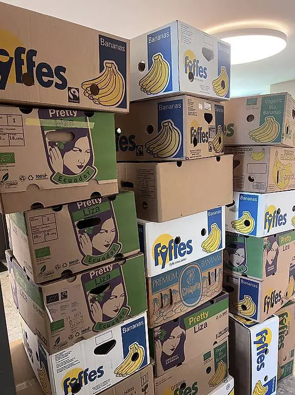 Bananenschachteln / Zügel Kartons