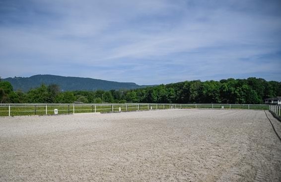 Bieten Auslaufboxen in Dulliken SO
