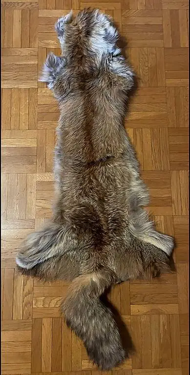 Pelliccia di Volpe originale