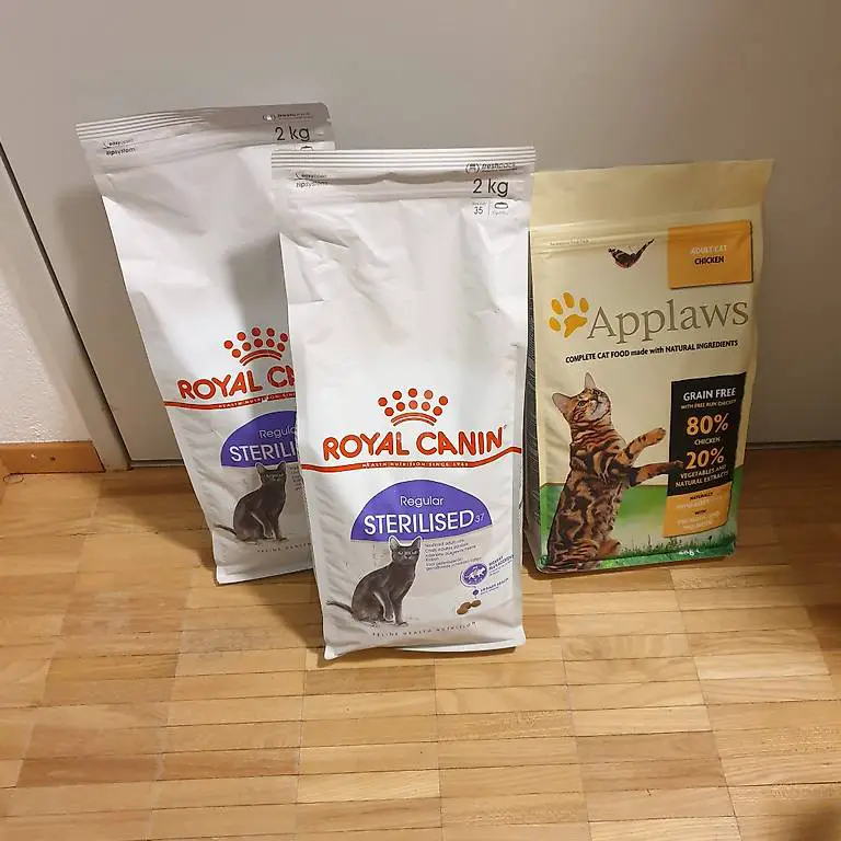 Trockenfutter Katzen