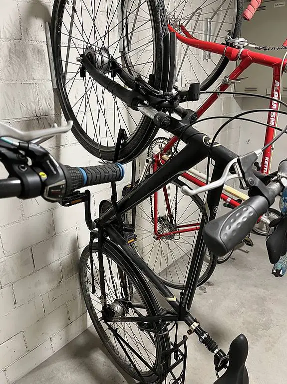 Pegasus Rimini zu verschenken