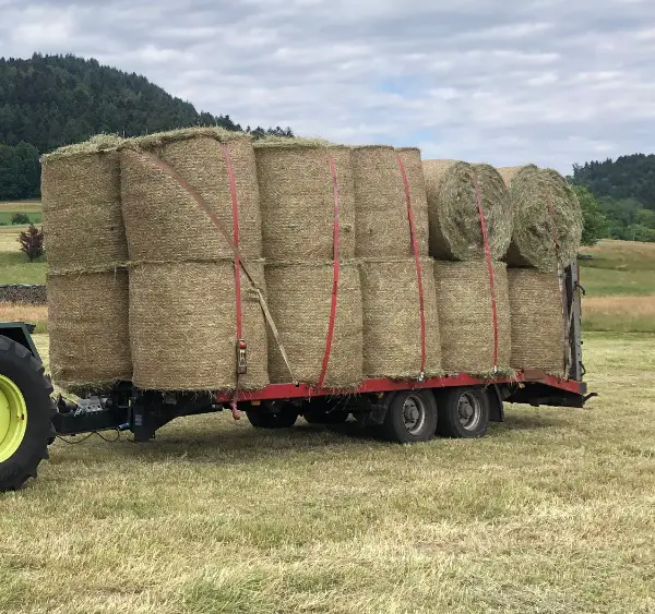 Heu / Öhmd Rundballen