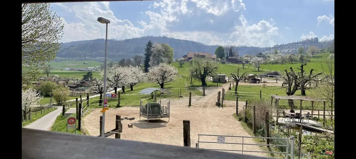 Platz im Offenstall, Offenstallplatz in Kehrsatz BE