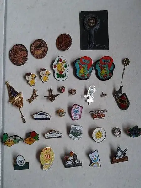 Pins/Broschen divers