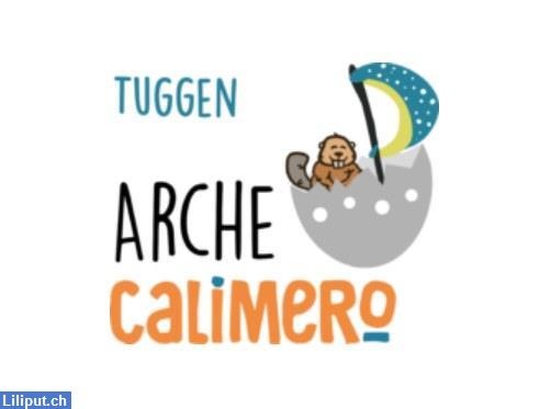 Kita sucht Fachperson Betreuung 100% für Gruppenleitung