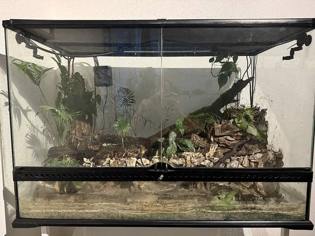 Terrarium für Frösche