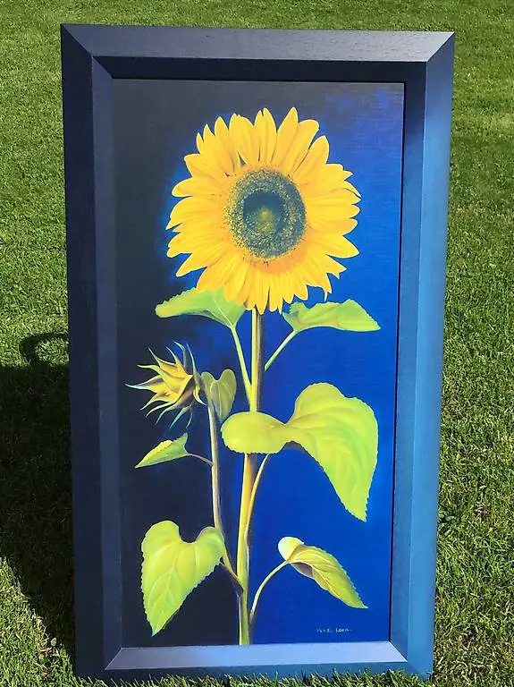 Bild Sonnenblume von Michael Loeb